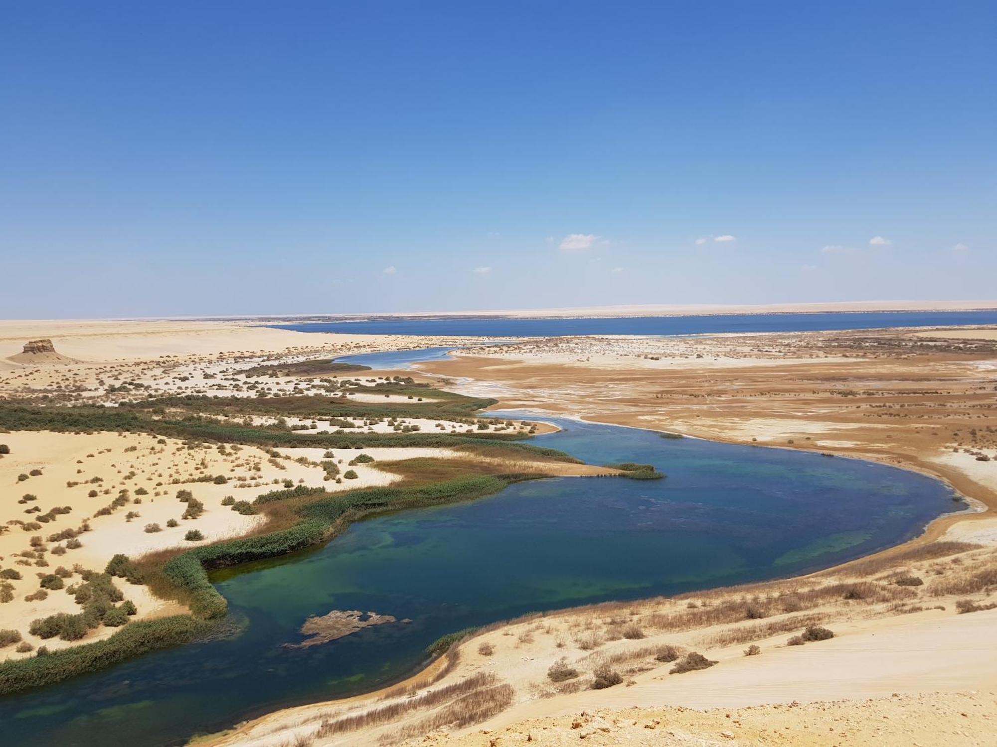 Maged Pyramids View Inn Kafret el-Gabal Eksteriør billede
