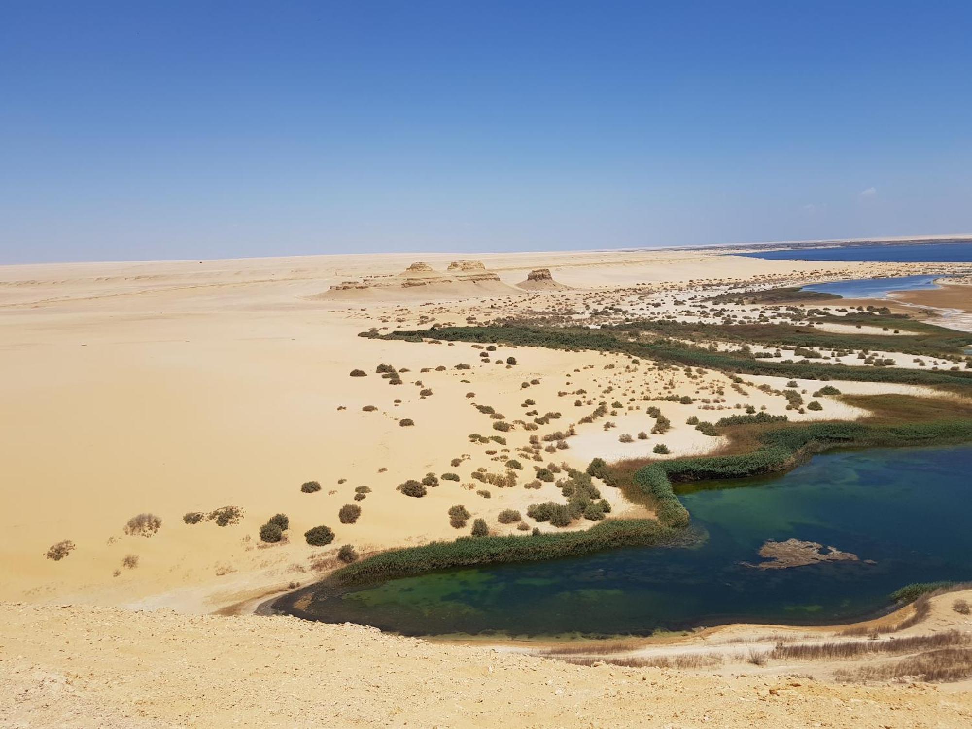 Maged Pyramids View Inn Kafret el-Gabal Eksteriør billede